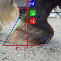 Hufbearbeitung Beispiel 3